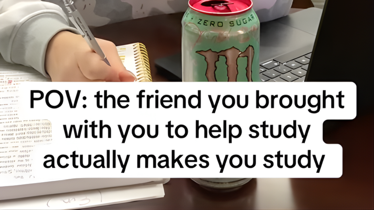 POV: the friend you brought with you to help study actually makes you study